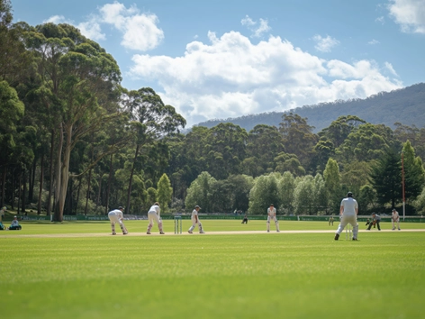 Cricket Nets
